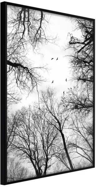 ARTGEIST Poster with frame - Treetops Black 40x60